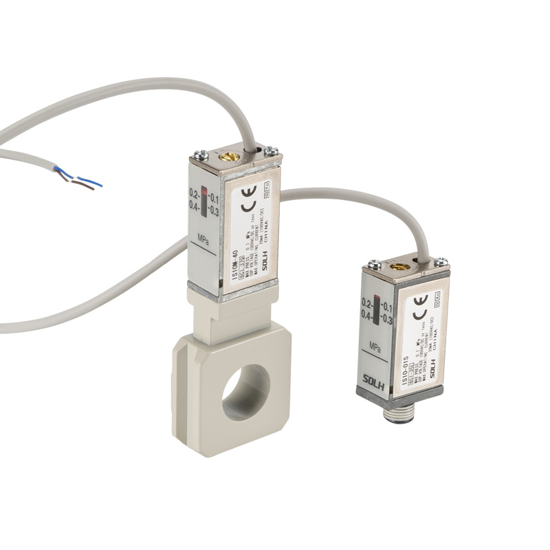 IS10 Series Reed Tube Mechanical Pressure Switch